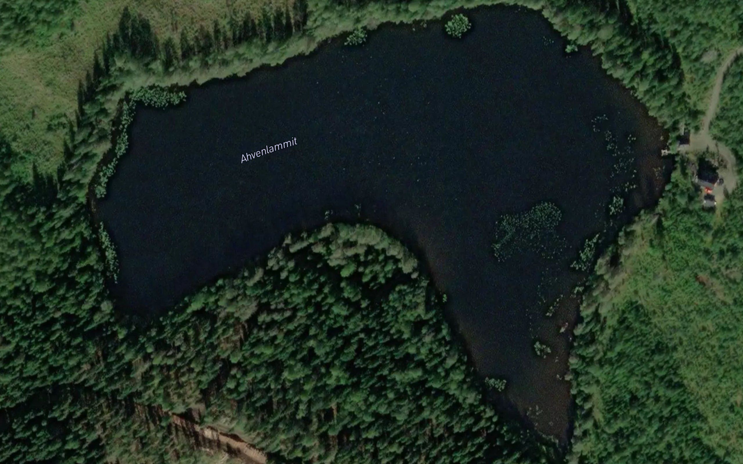 Ahvenlammit