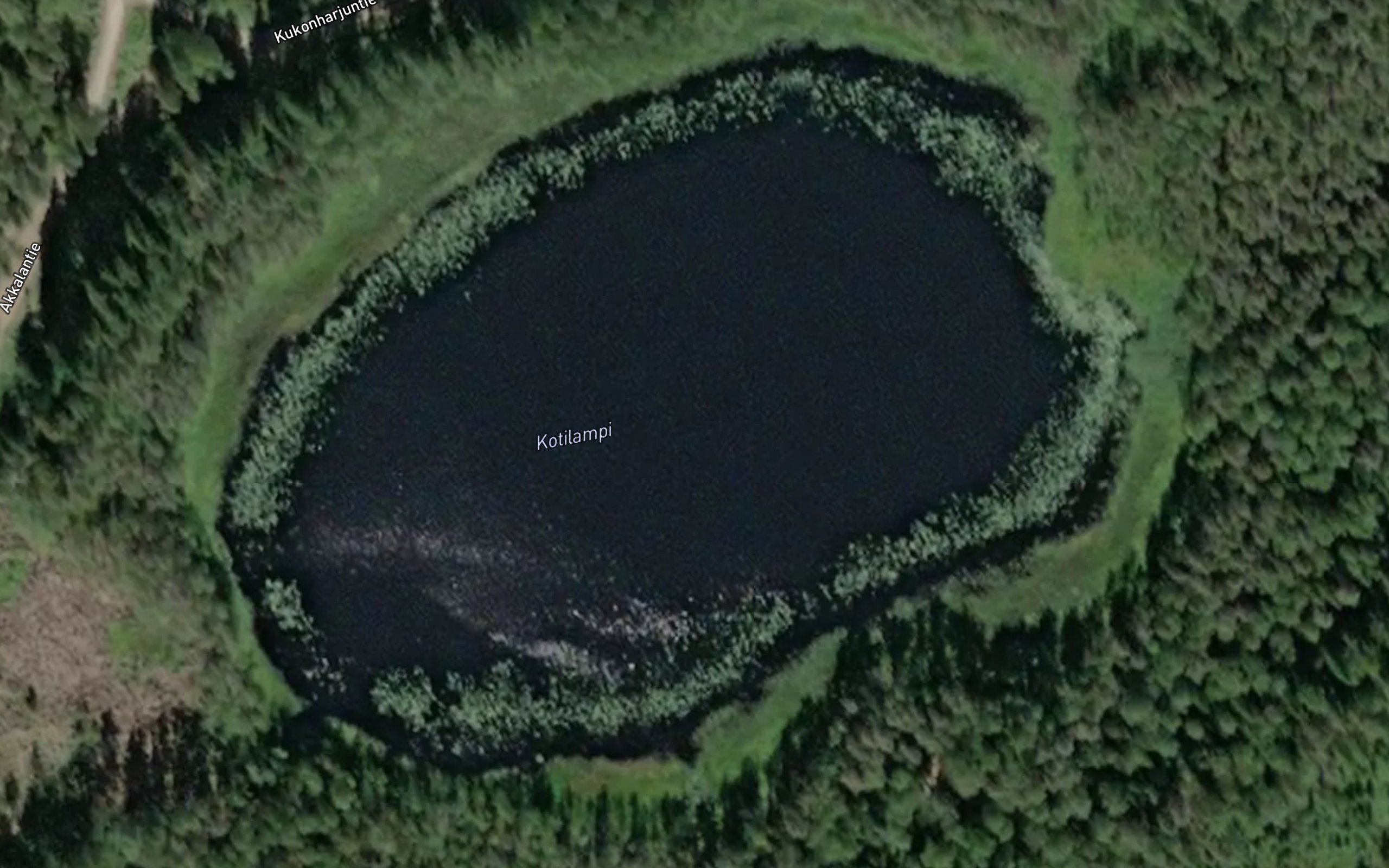 Kotilampi