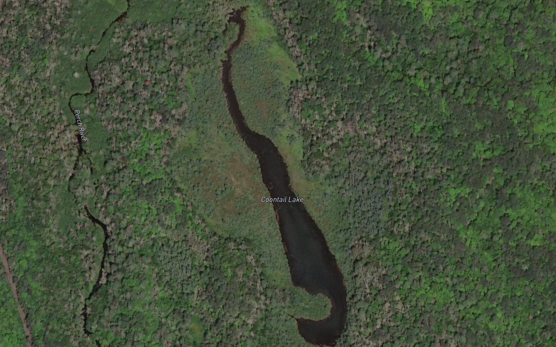 Satellite map of the Coontail Lake