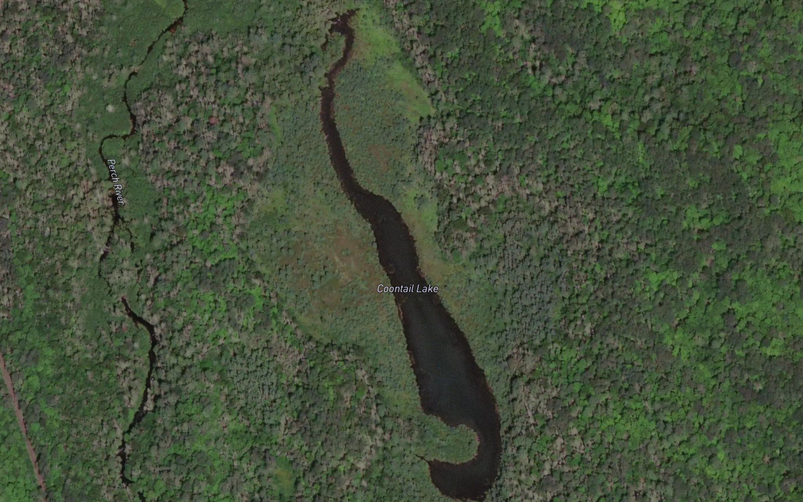 Coontail Lake