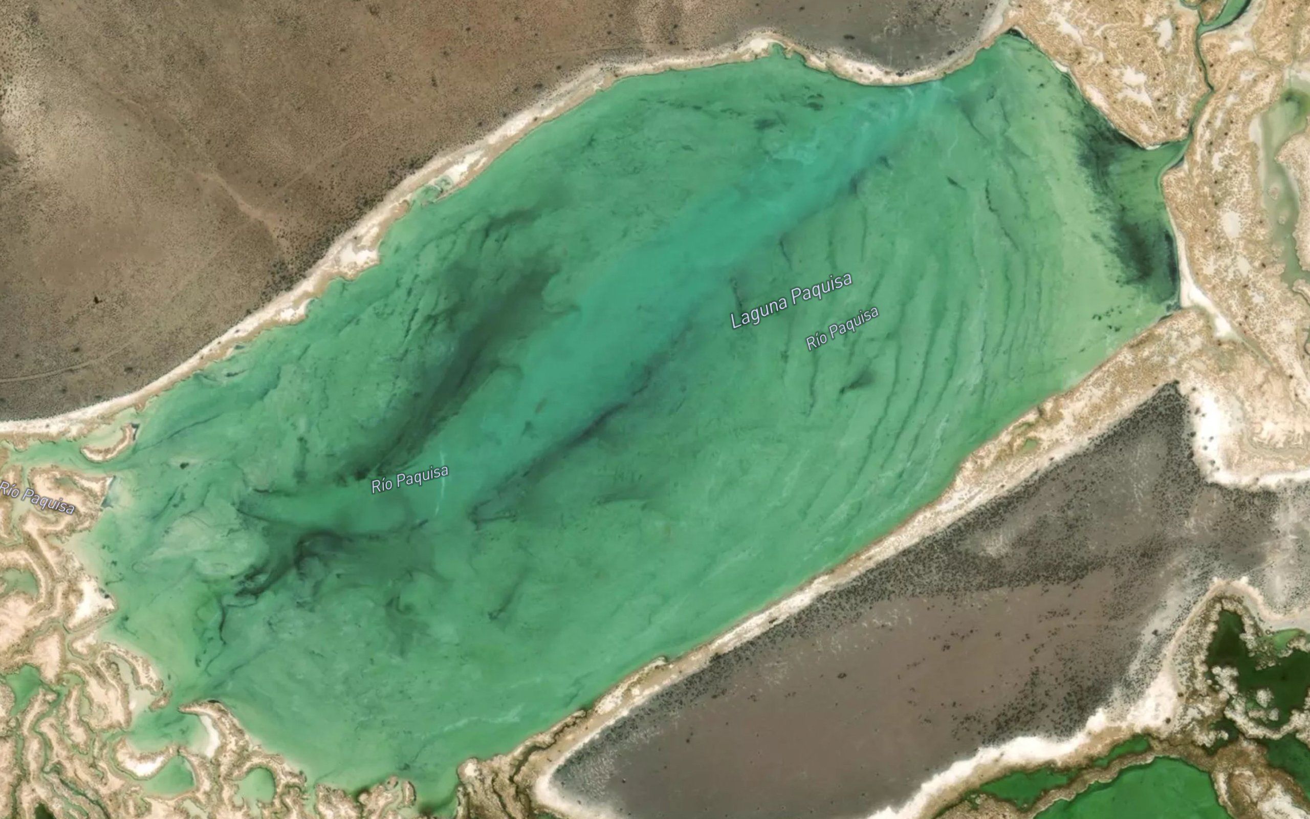 Laguna Paquisa