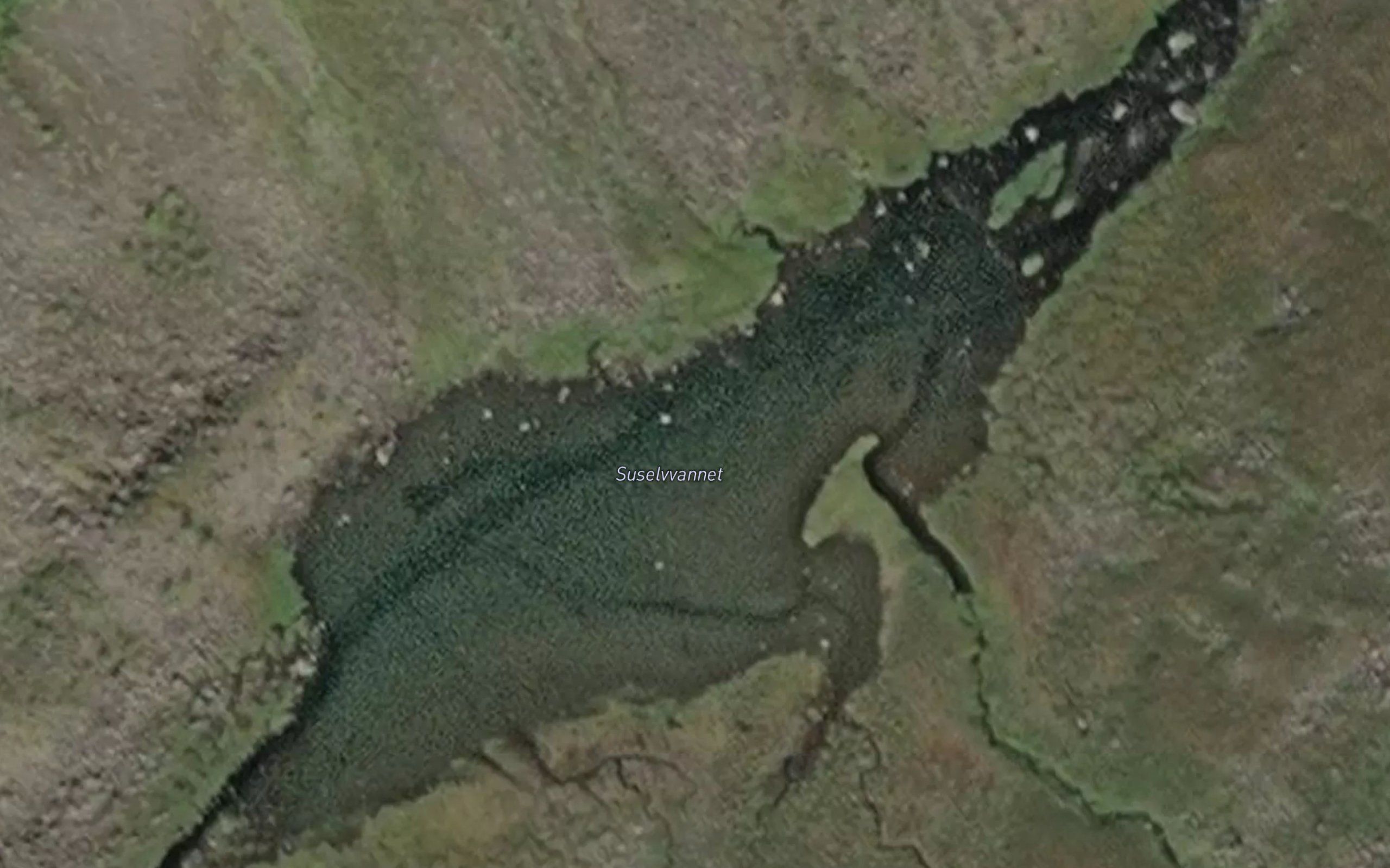 Suselvvannet
