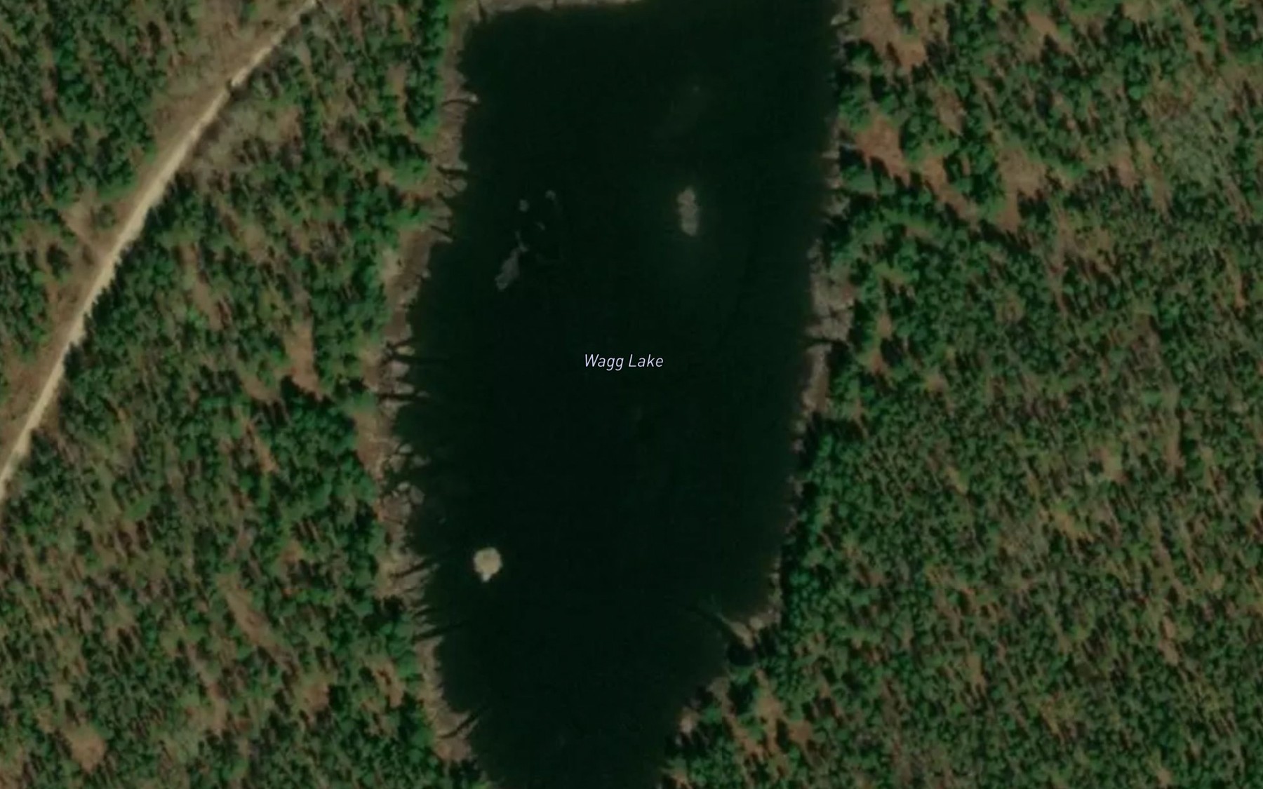 Satellite map of the Wagg Lake