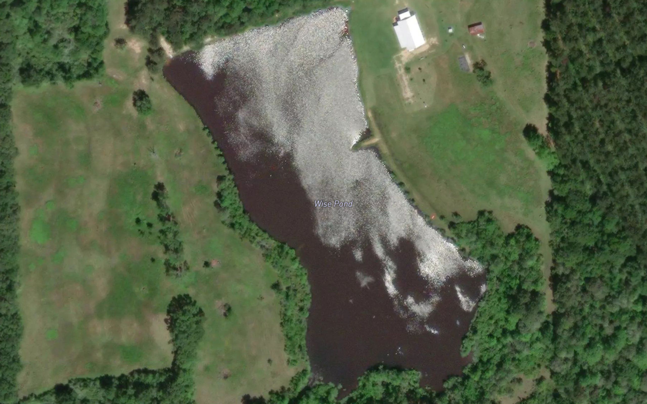 Wise Pond