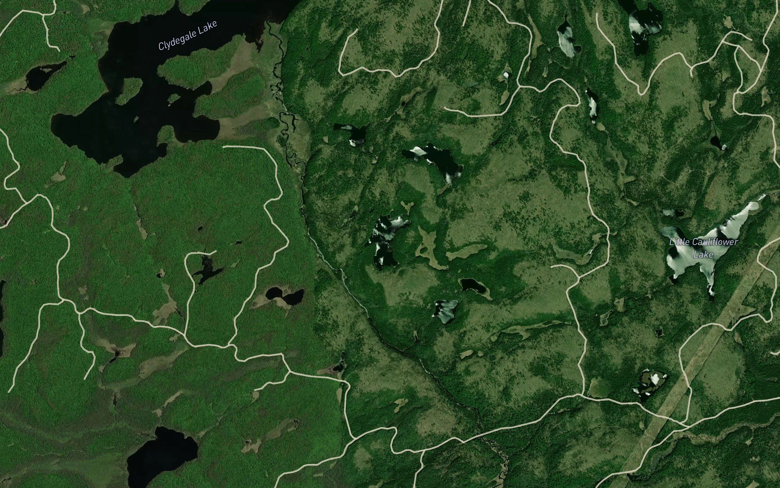 Camp Lake