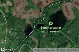 Lillevatnet