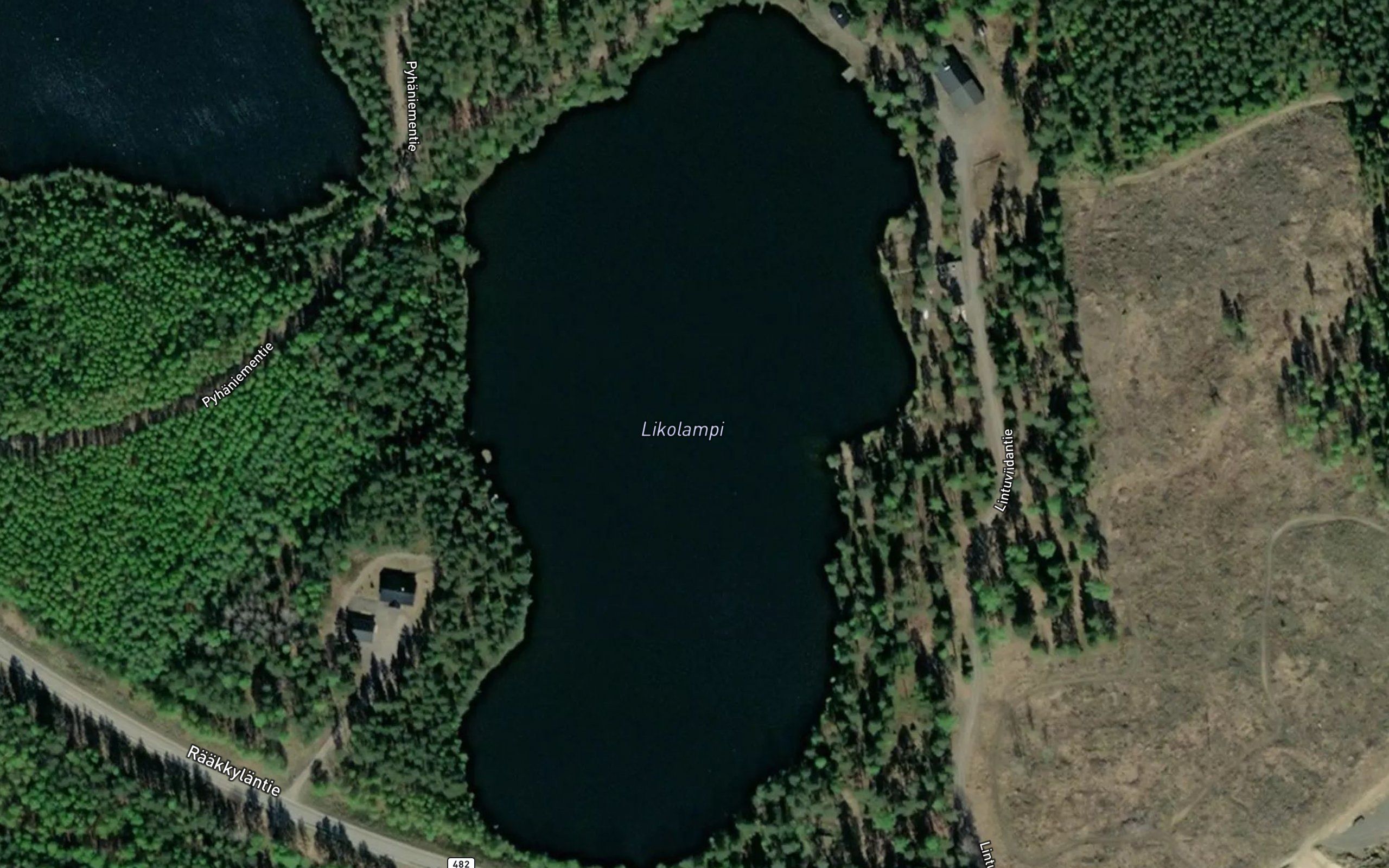 Likolampi