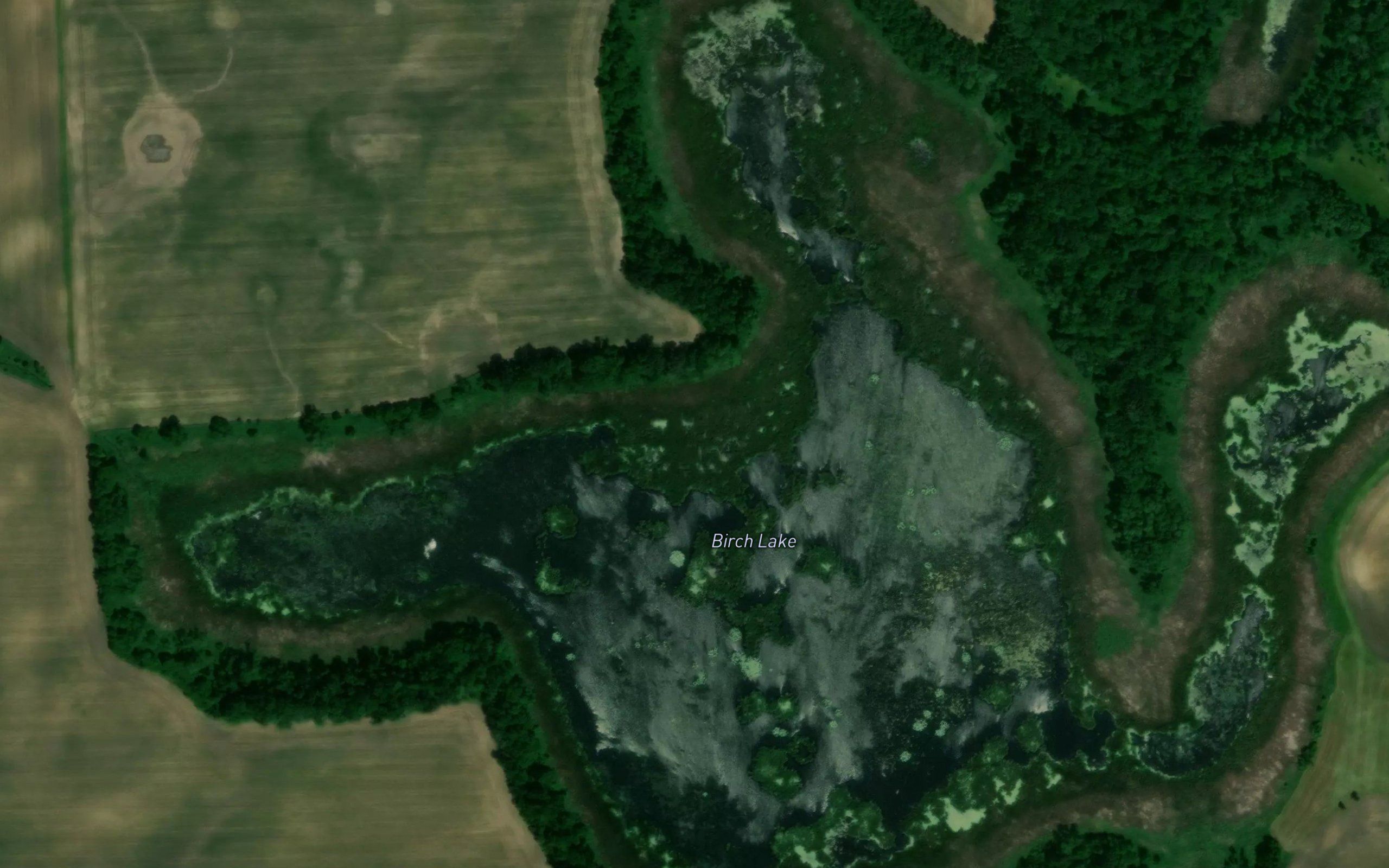 Birch Lake