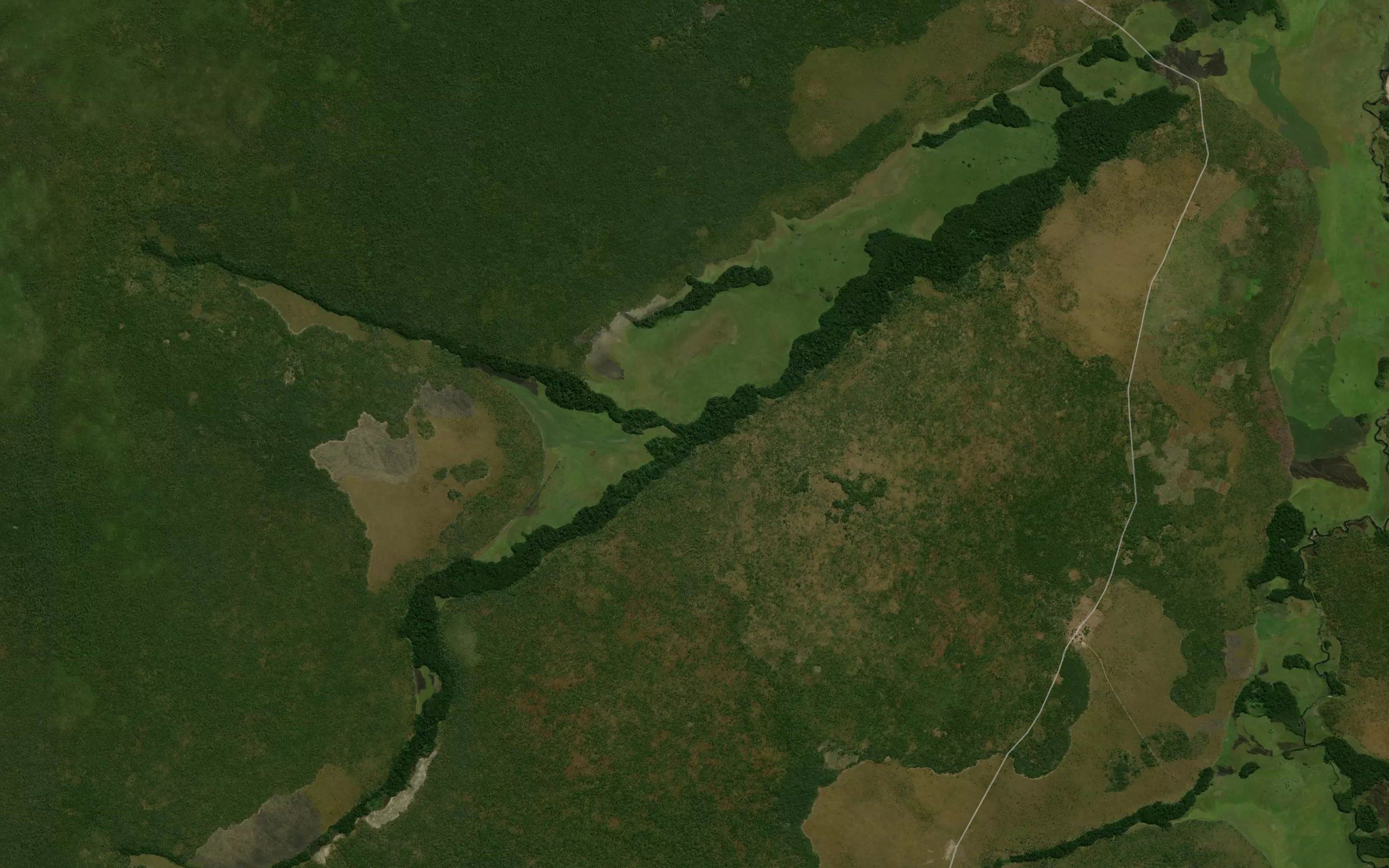 Caigia