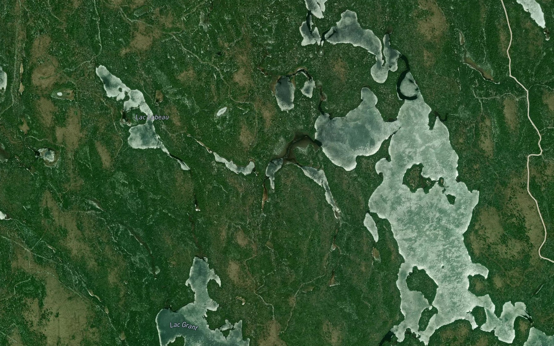 Satellite map of the Lac du Perroquet