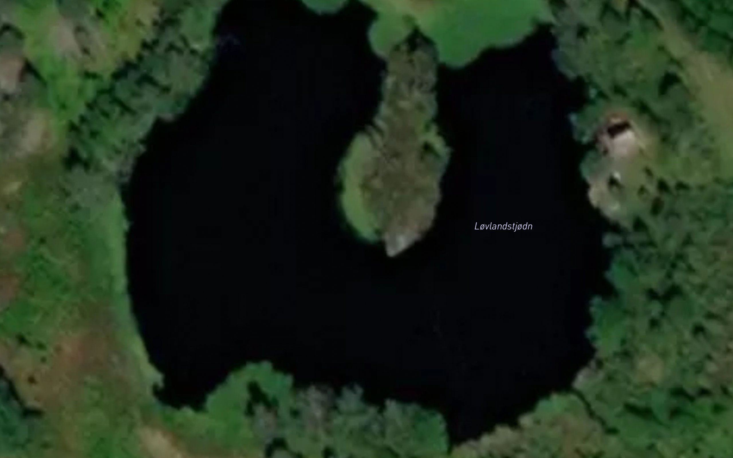 Lovlandstjodn