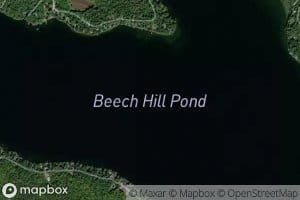 Beech Hill Pond
