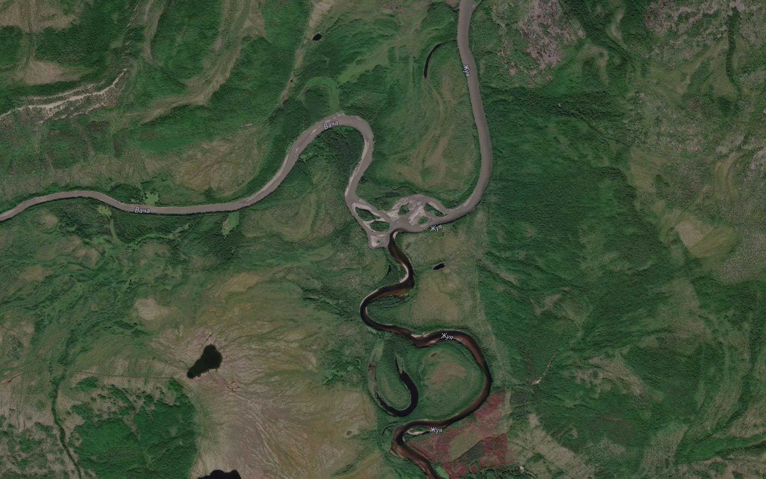 Vacha