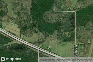 Anderson Creek