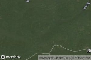 Ngon