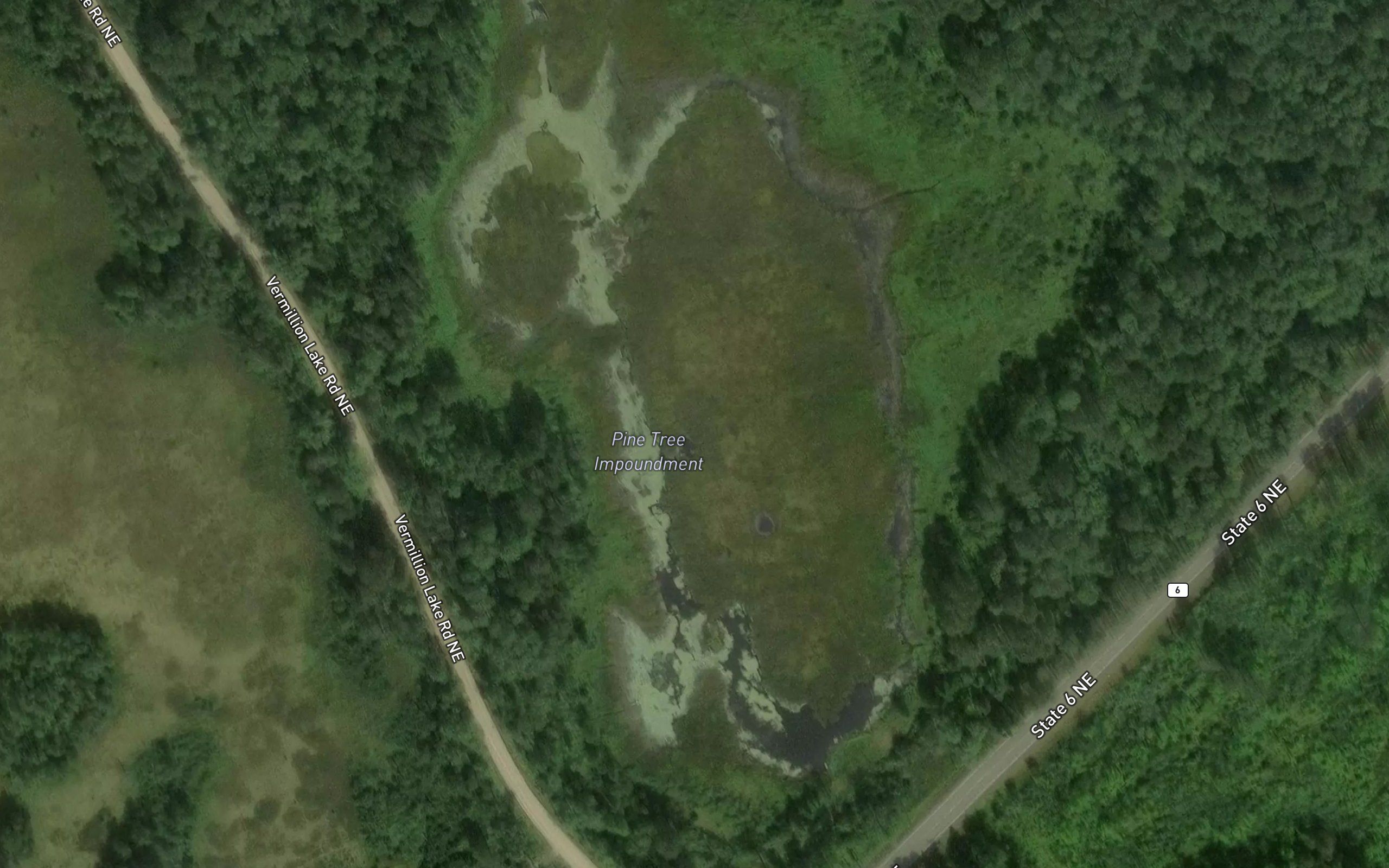 Pine Tree Impoundment