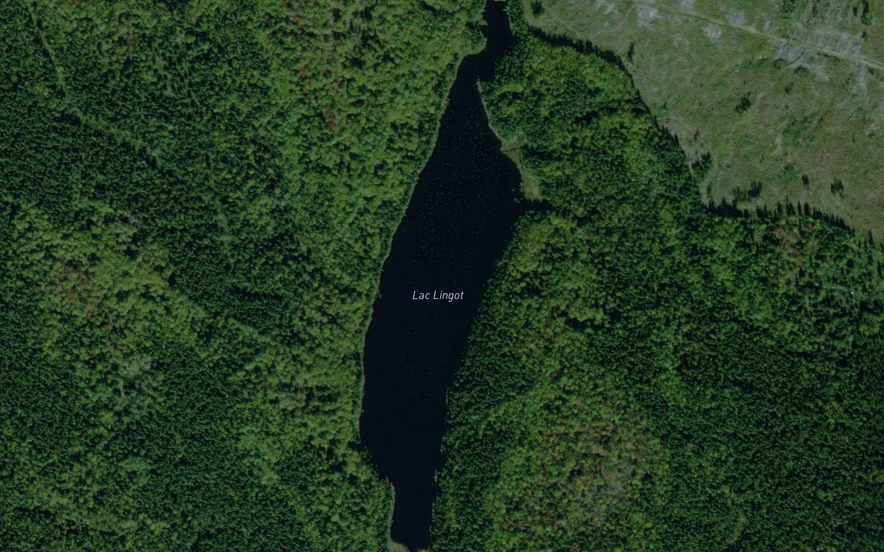 Satellite map of the Lac Lingot