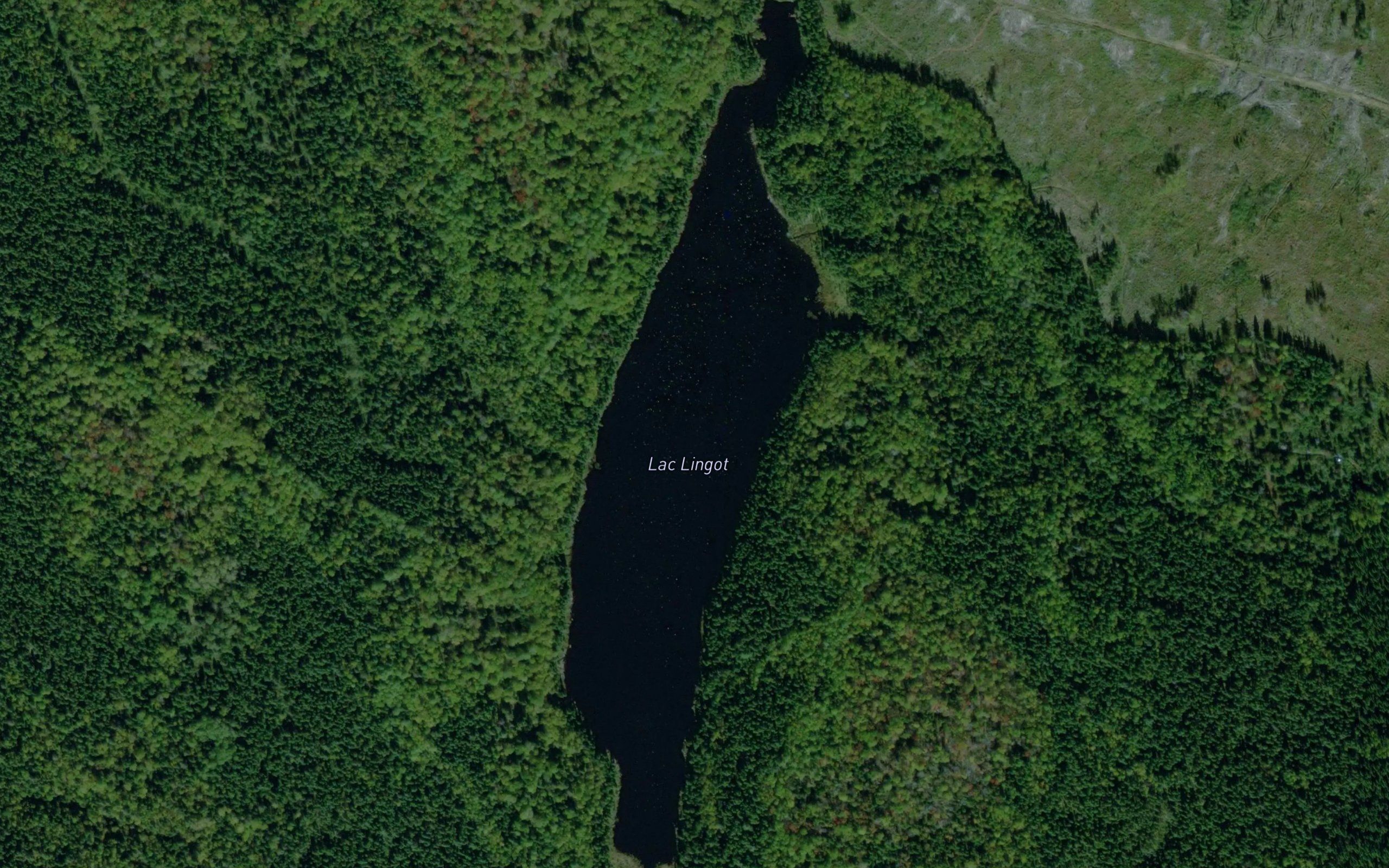 Lac Lingot