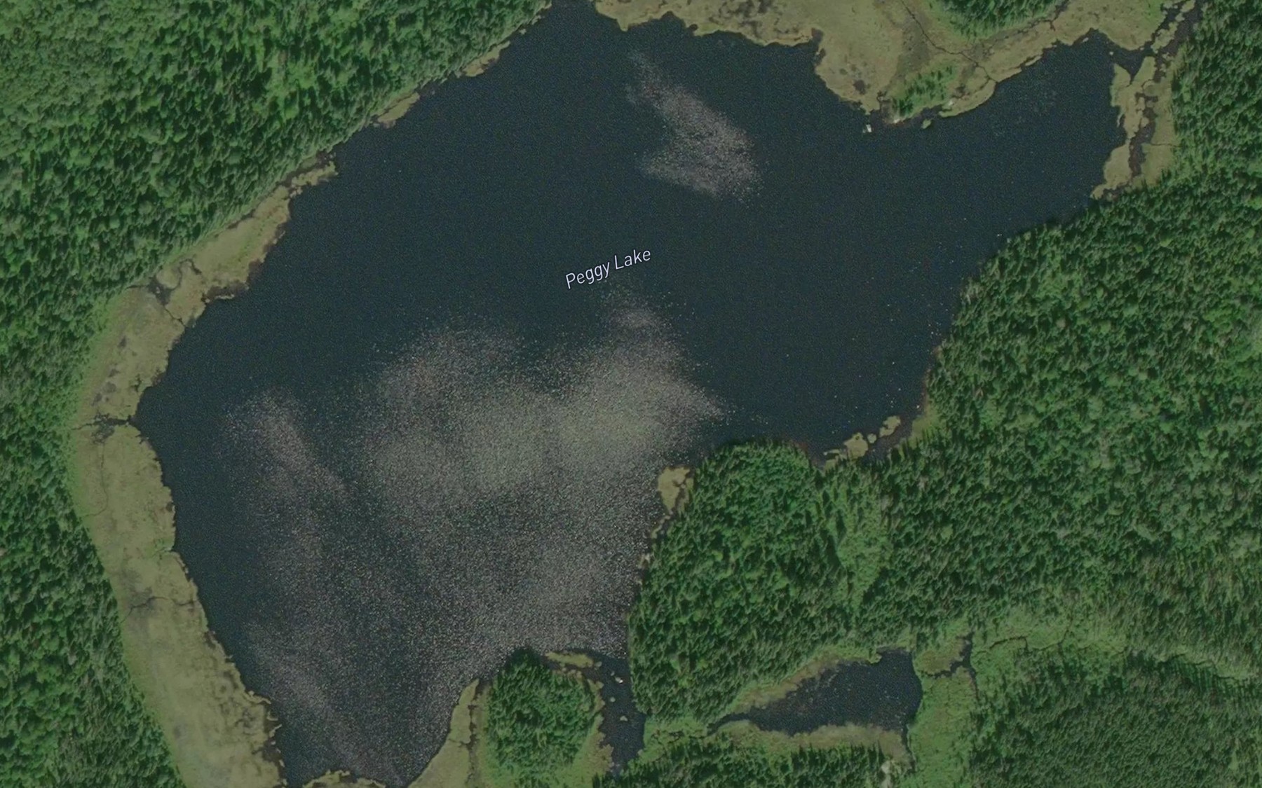 Satellite map of the Peggy Lake