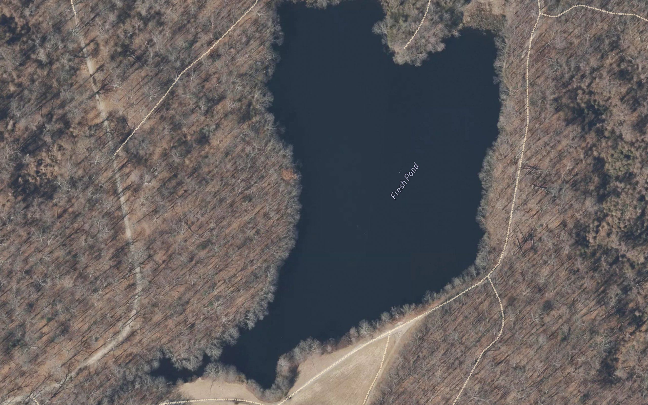 Fresh Pond