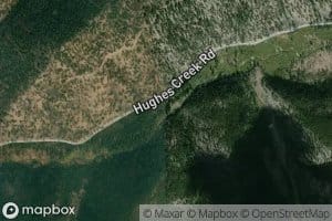 Christmas Tree Creek
