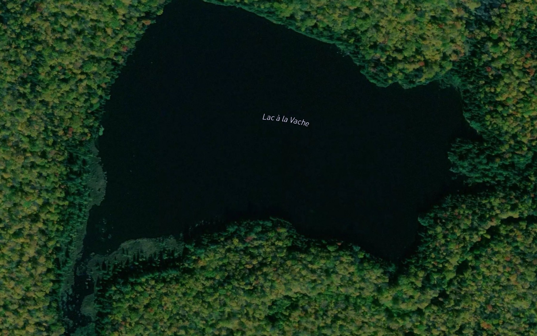 Satellite map of the Lac a la Vache