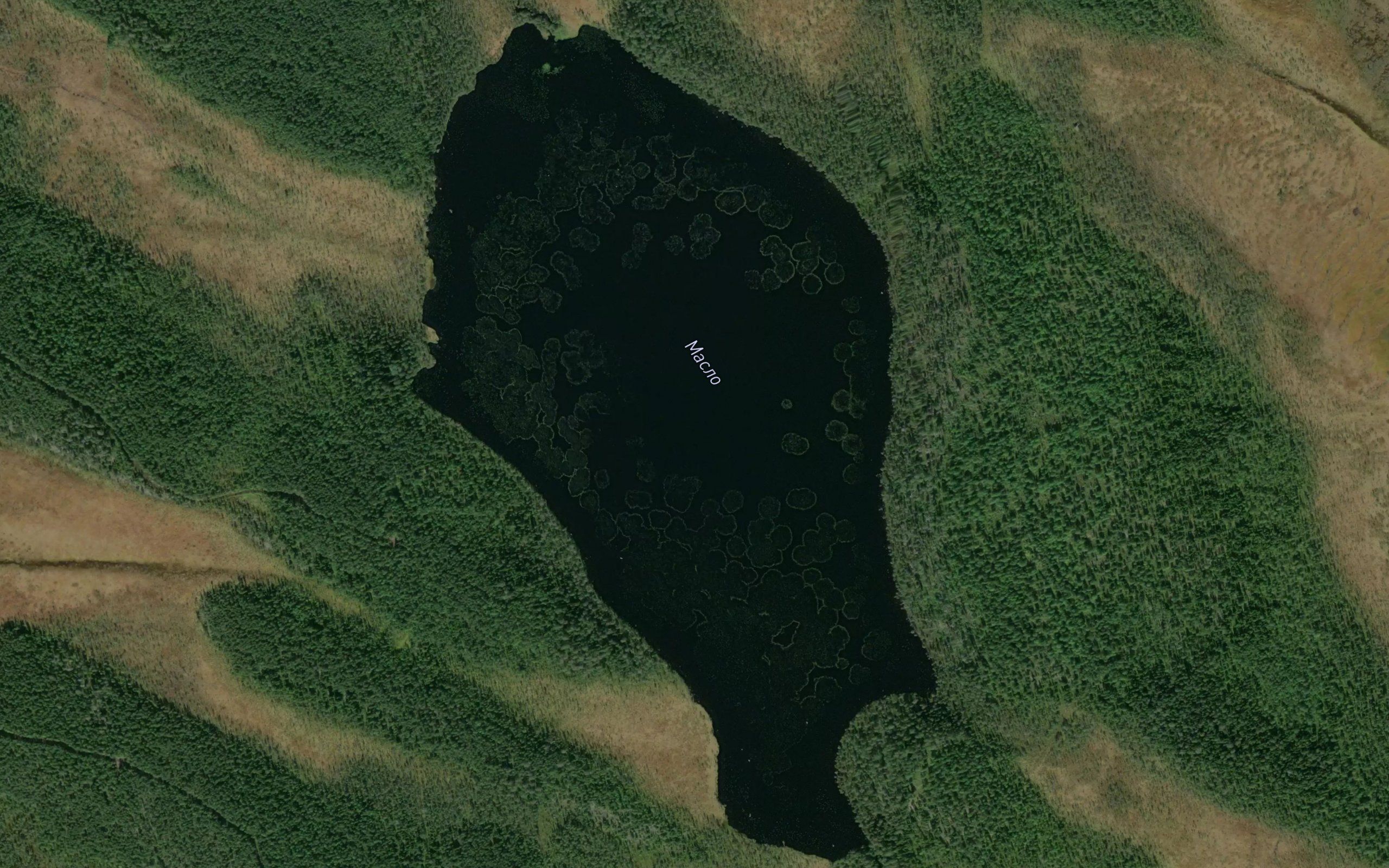 Ozero Maslo
