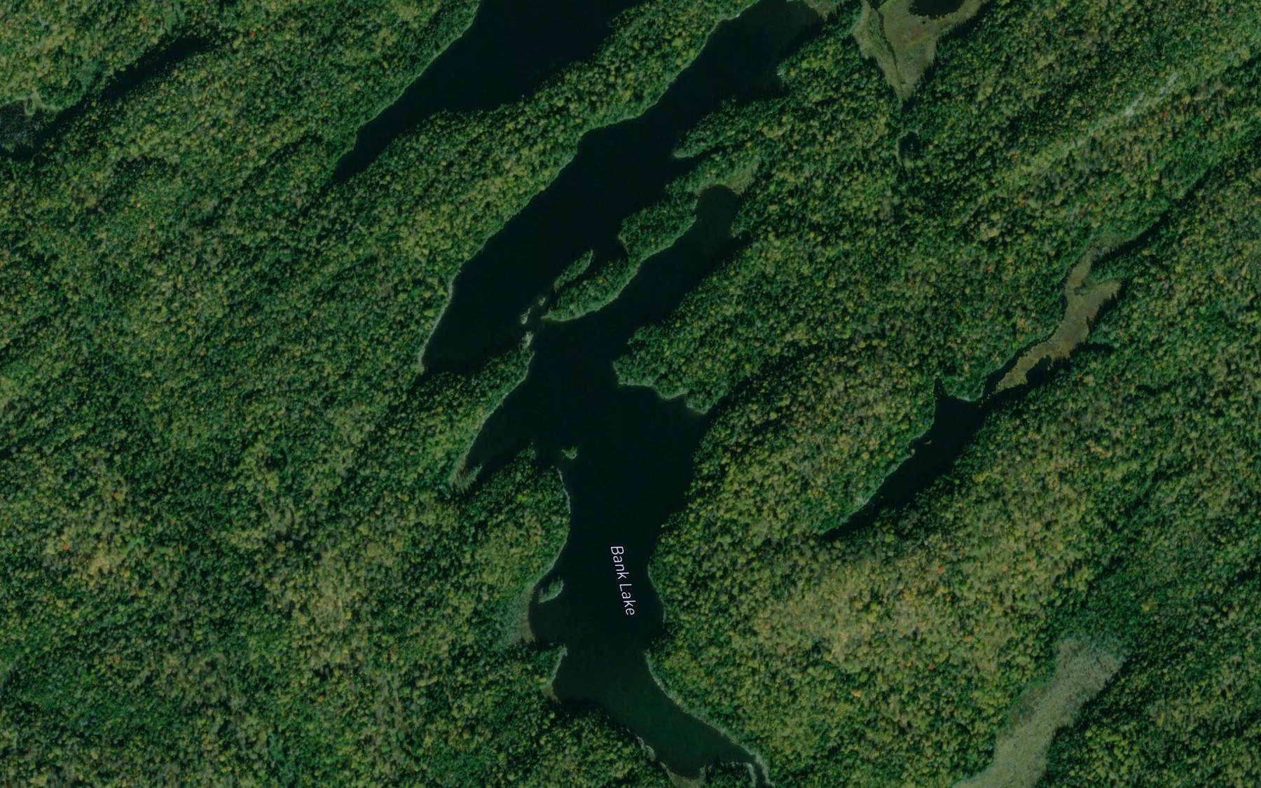 Satellite map of the Bank Lake