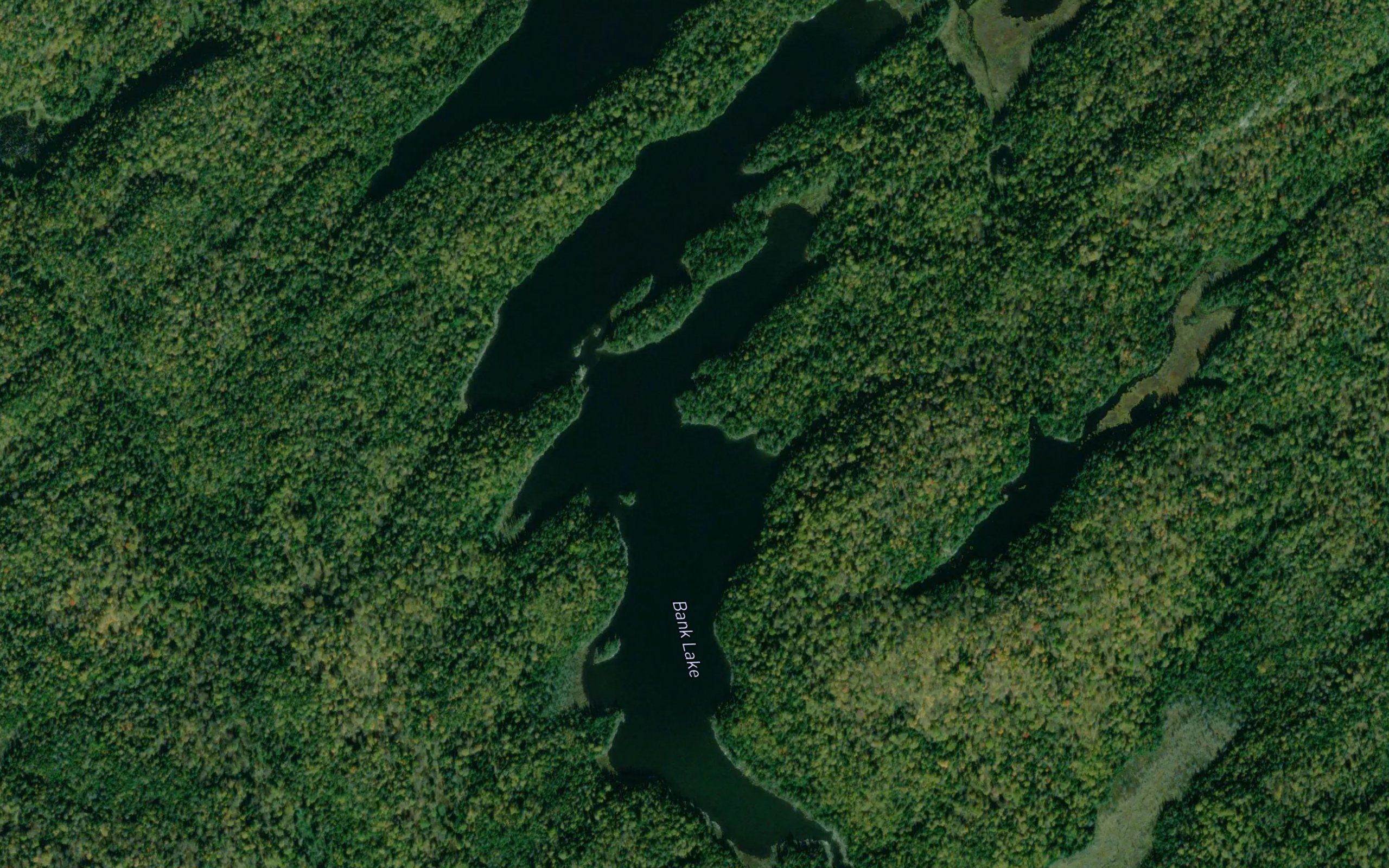 Bank Lake