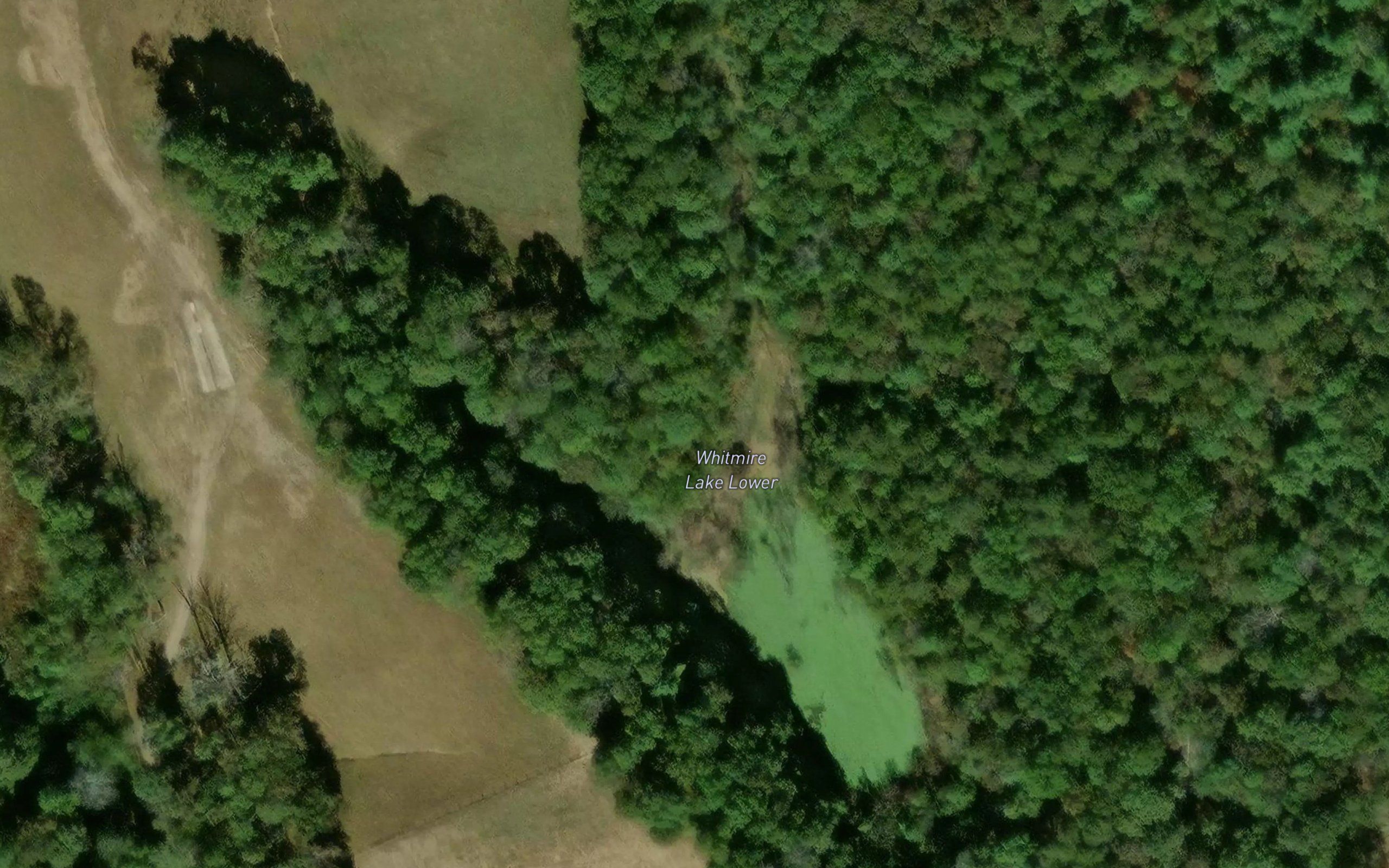 Whitmire Lake Lower