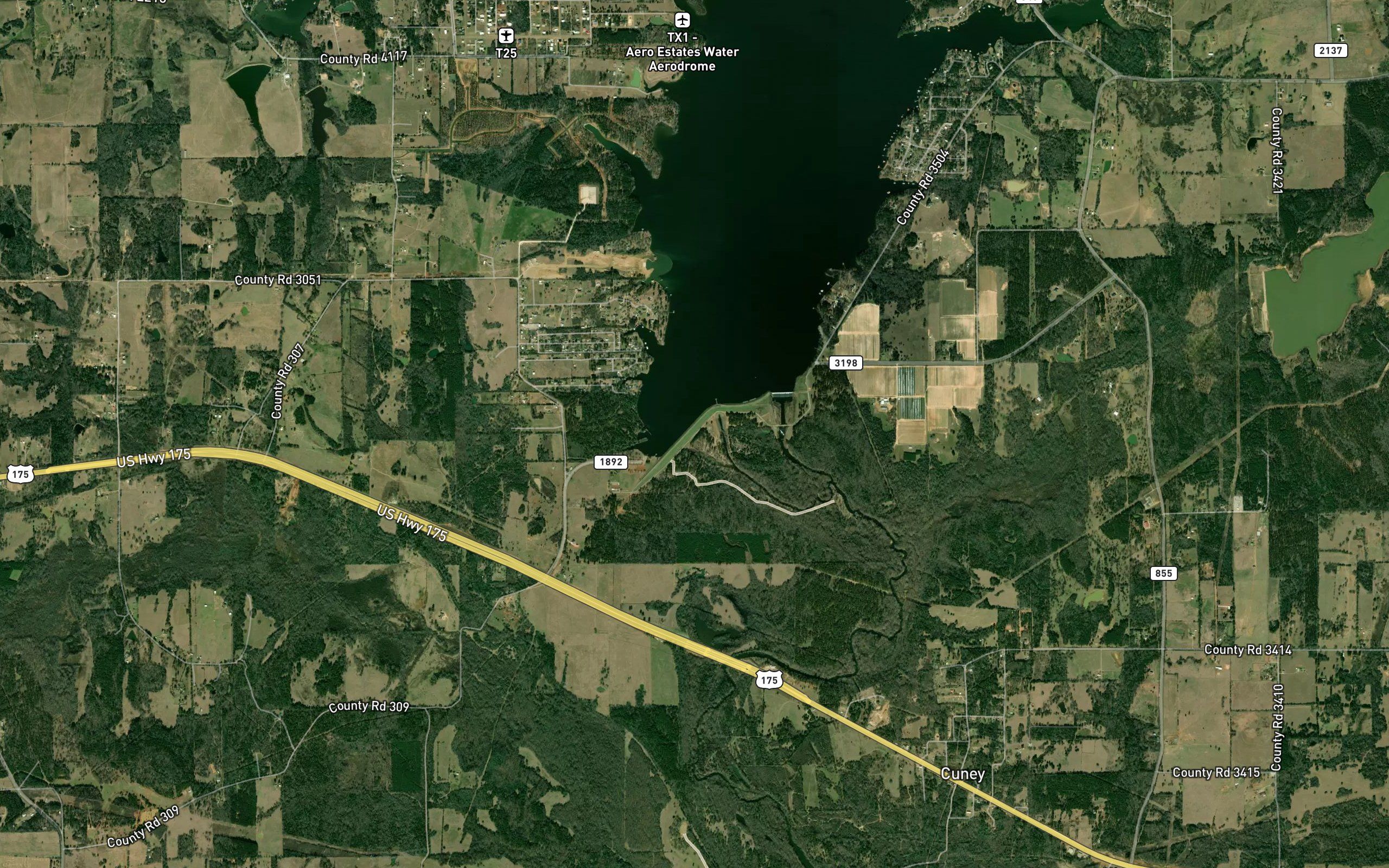 Lake Palestine