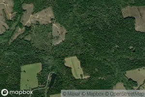 Union Springs Branch