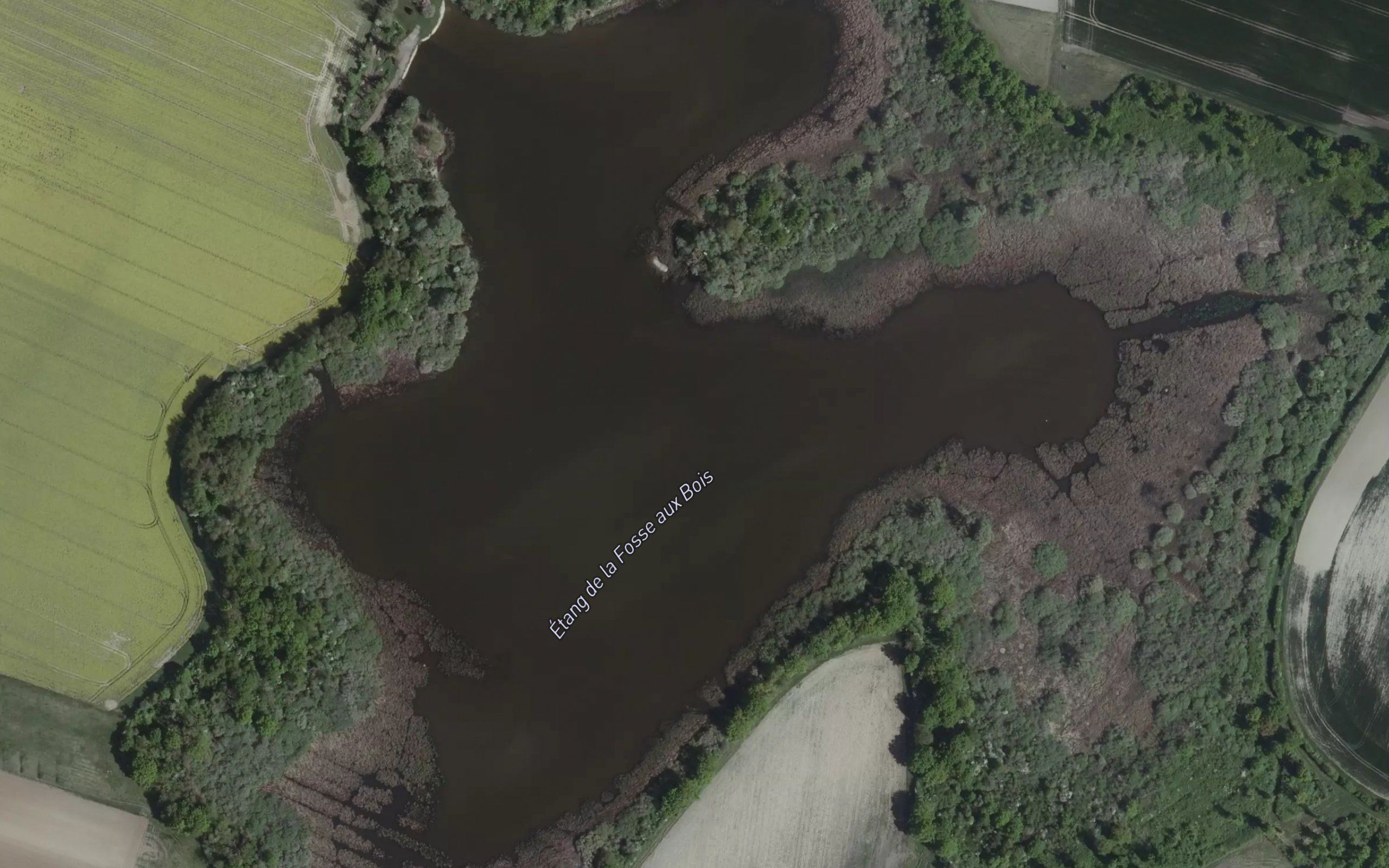 Etang de la Fosse aux Bois