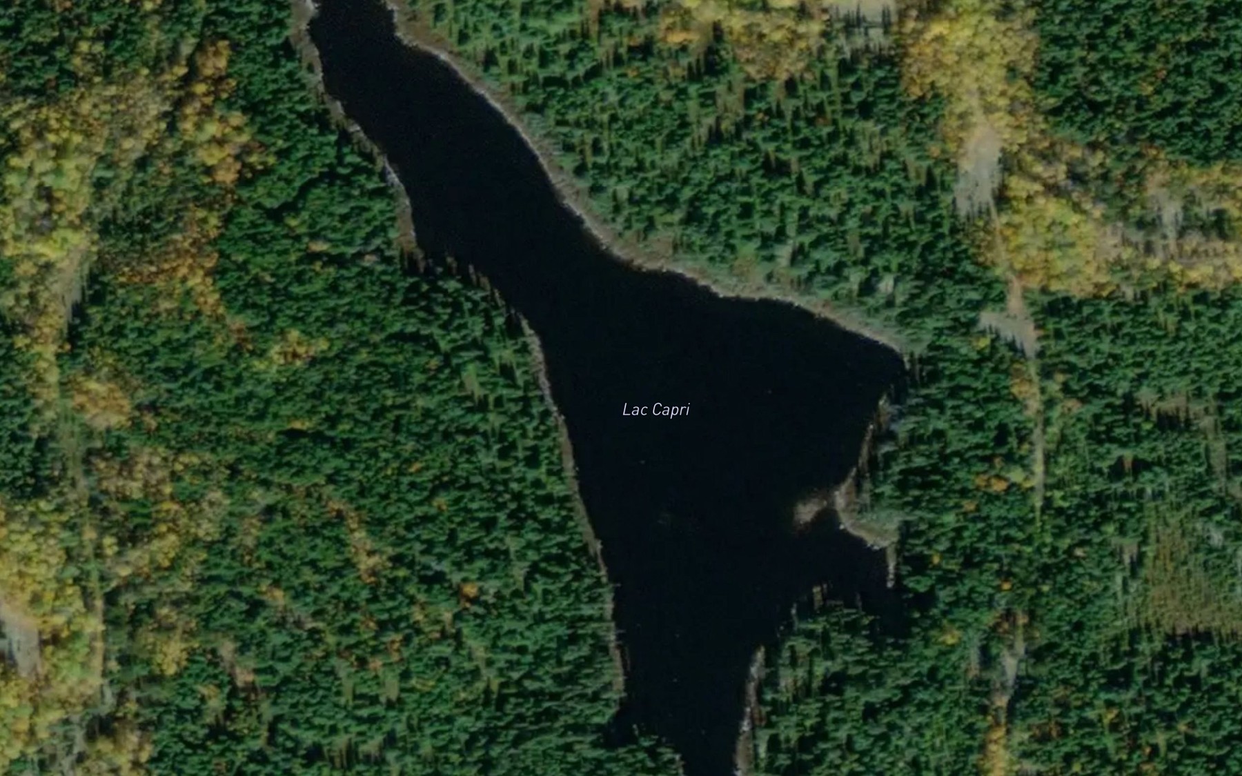 Satellite map of the Lac Capri