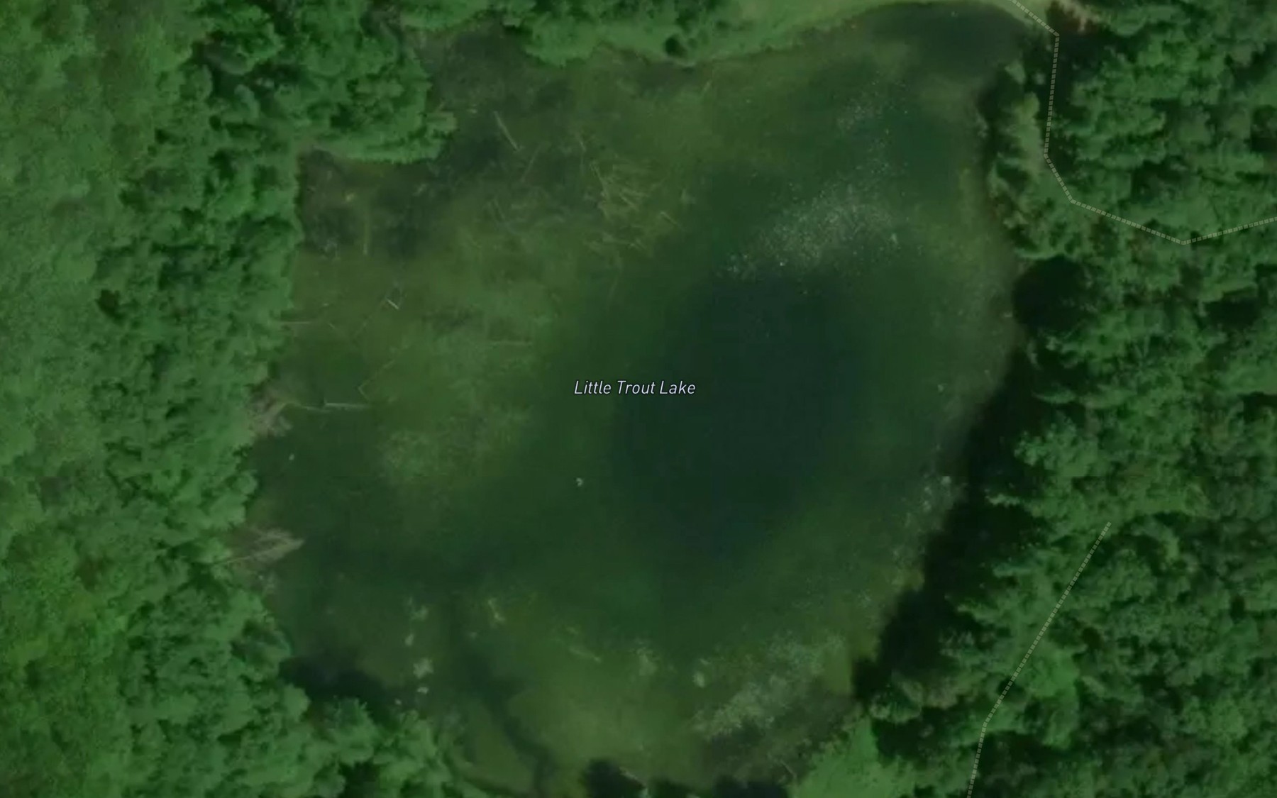 Satellite map of the Little Trout Lake