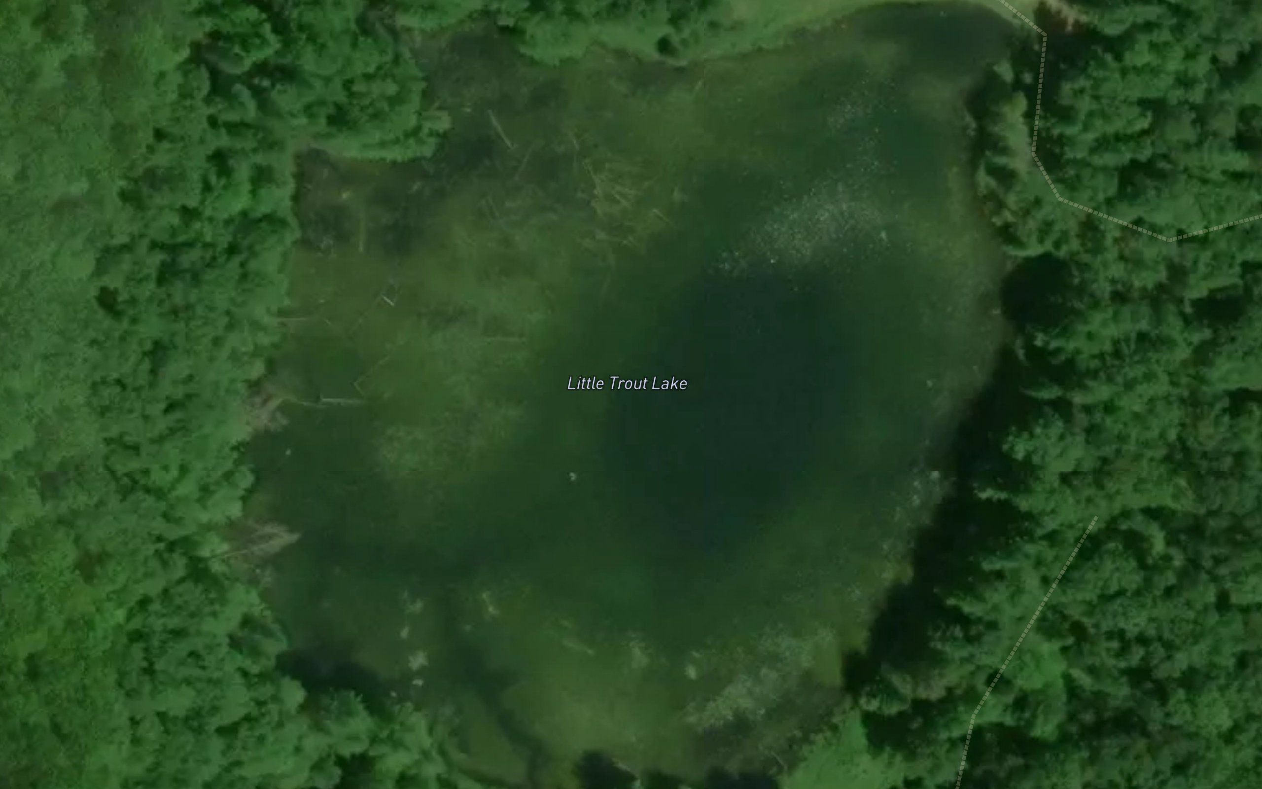Little Trout Lake