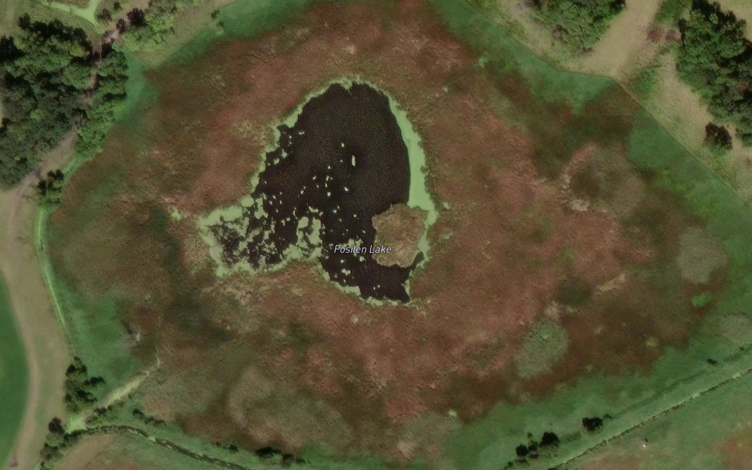 Fosilen Lake