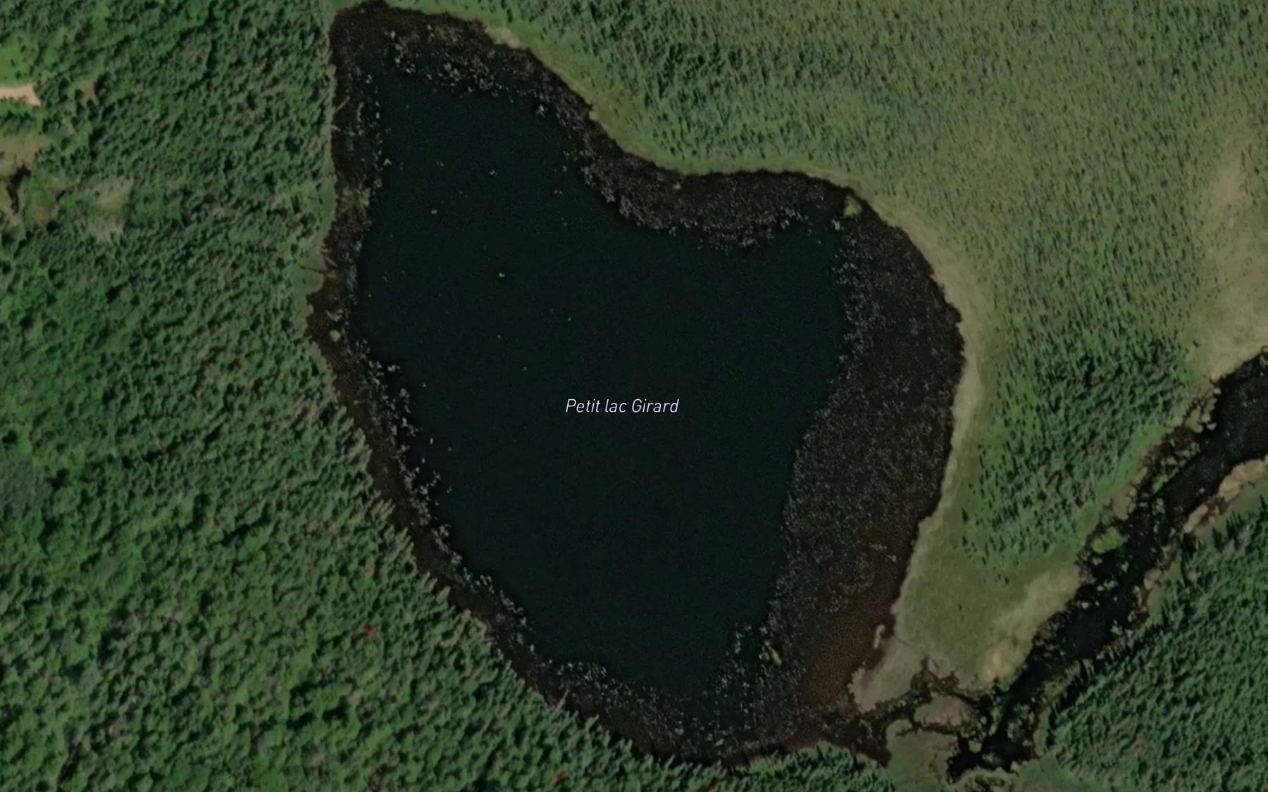 Satellite map of the Petit lac Girard