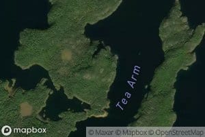Tea Arm
