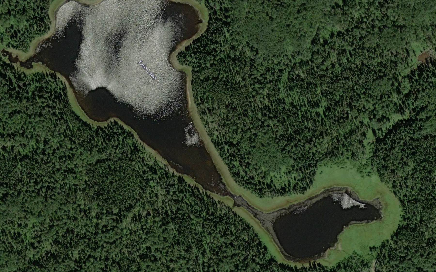 Satellite map of the Twin Lake