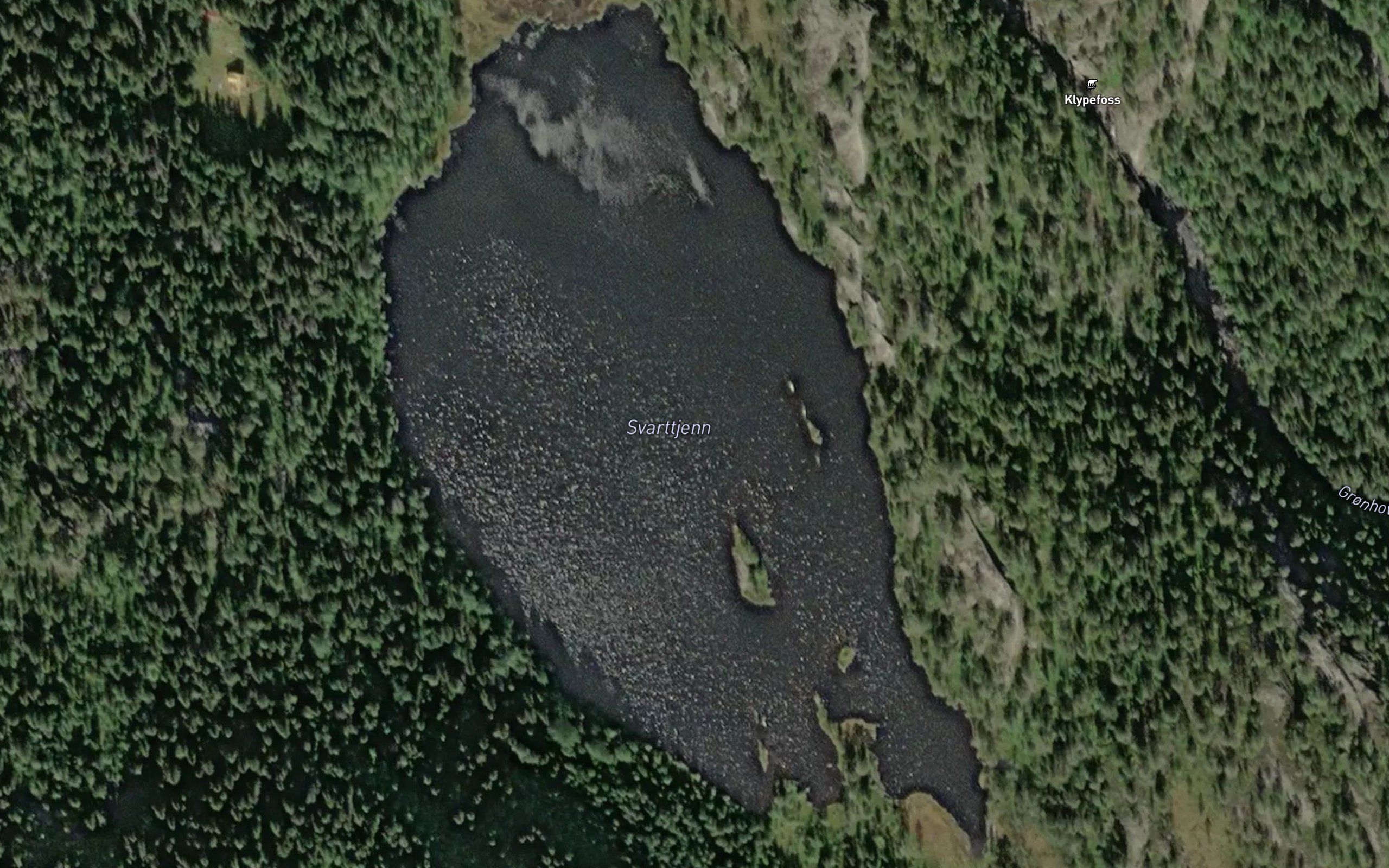 Svarttjern