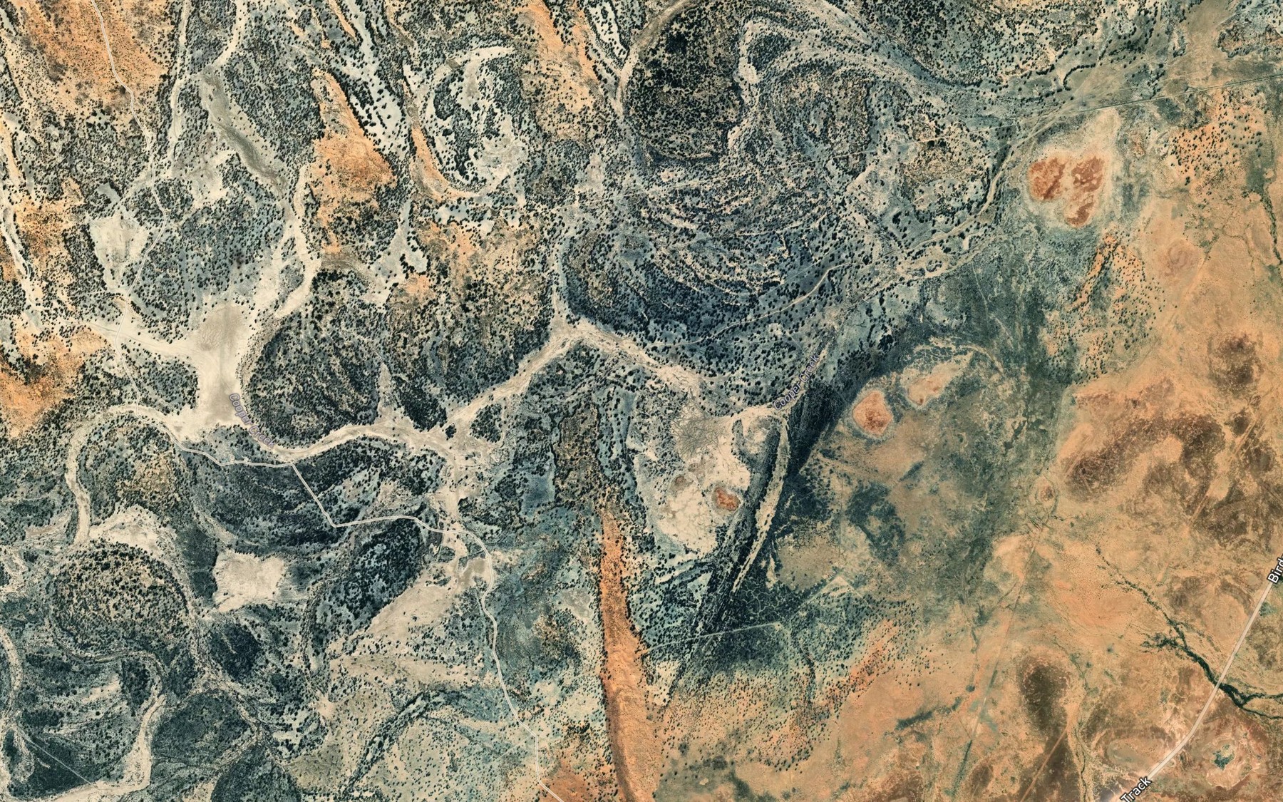 Satellite map of the Etadunna Creek