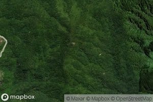 Grace Darling Stream