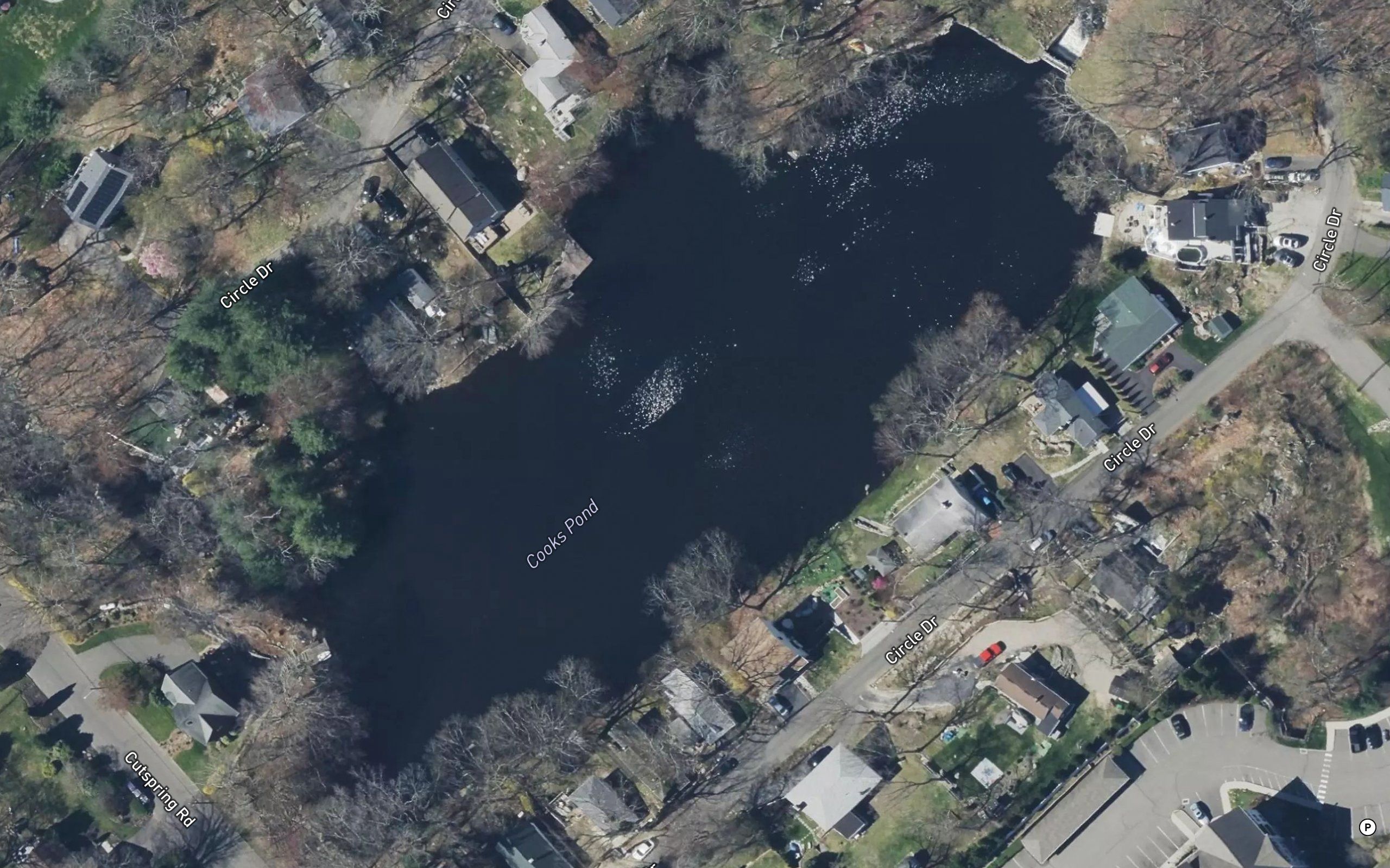 Cooks Pond