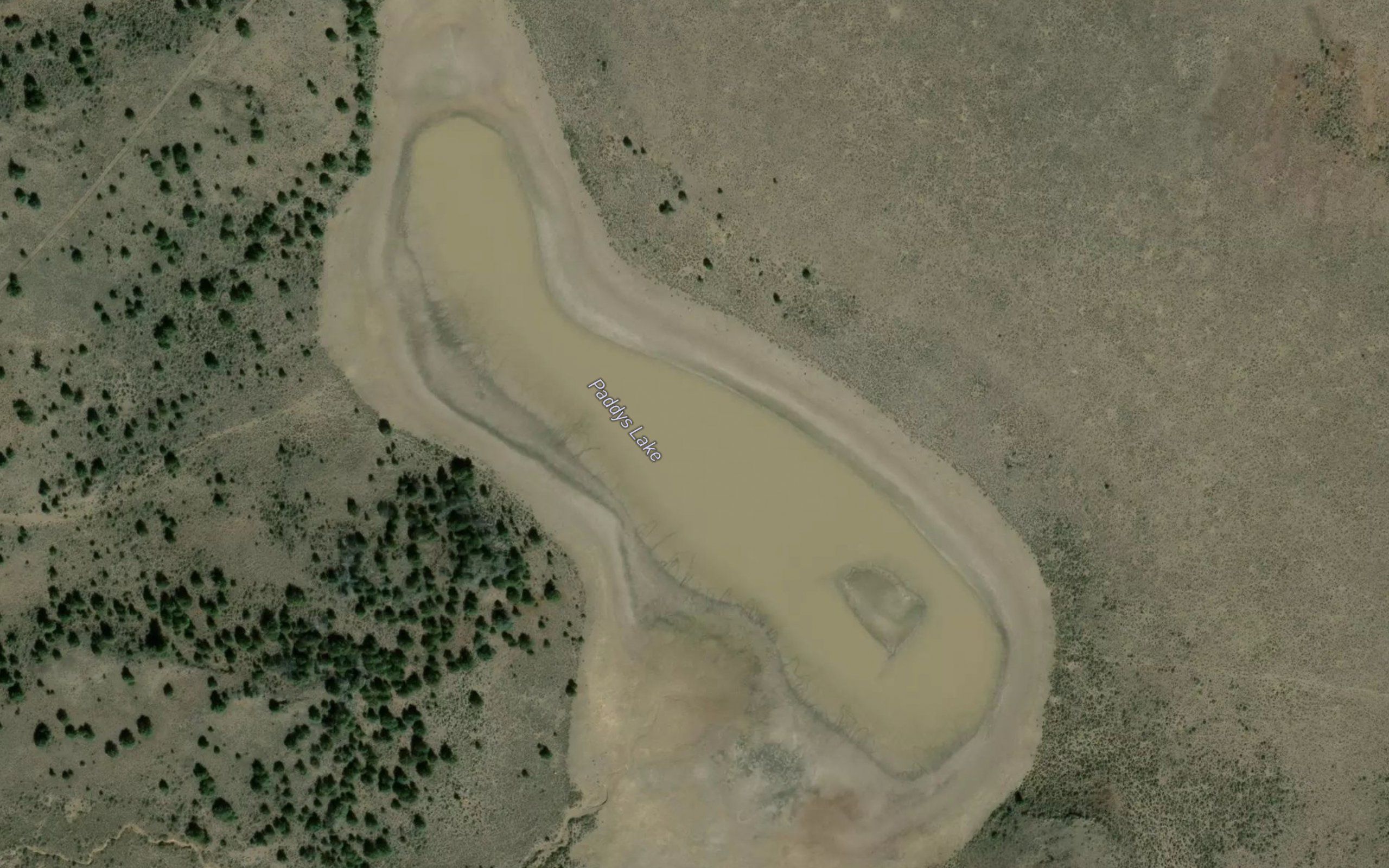 Paddys Lake