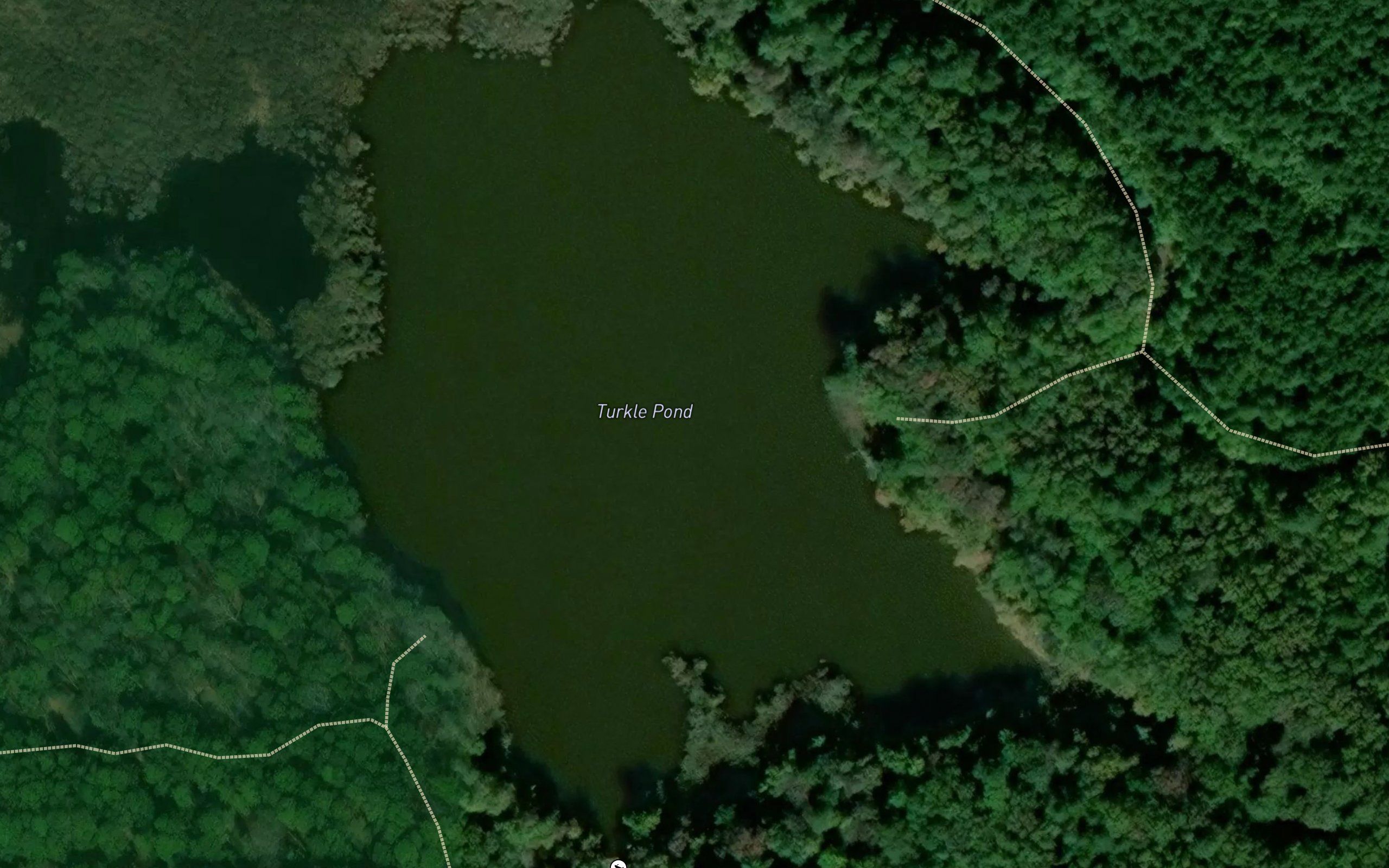 Turkle Pond