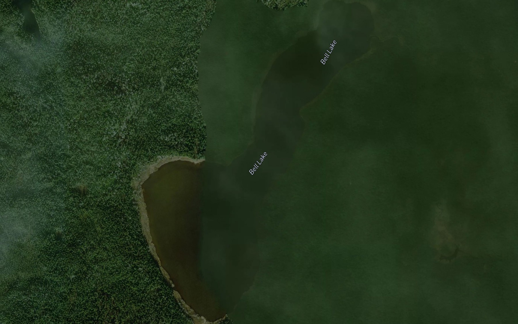 Satellite map of the Bell Lake