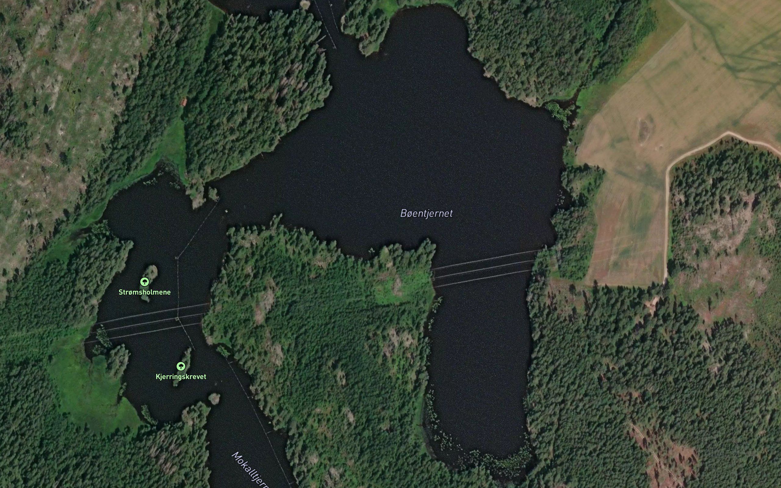 Boentjernet