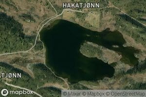Hakatjorni