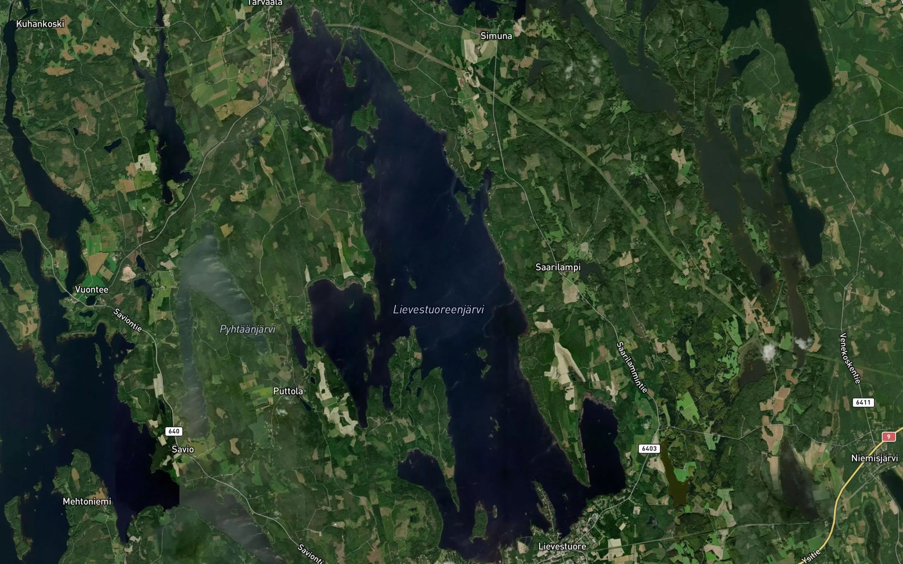 Satellite map of the Lievestuoreenjarvi